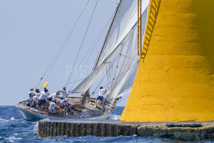 VVP_2023-08437.jpg