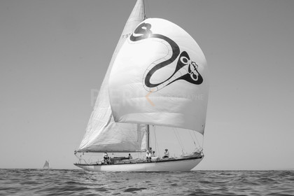 _DSC4660.jpg