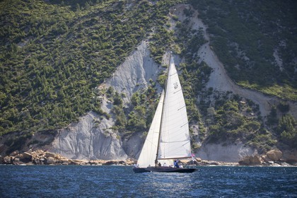 A29X6500.jpg