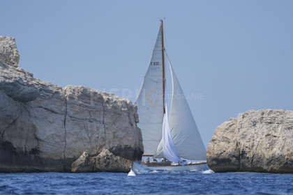 VVP_2023-07554.jpg
