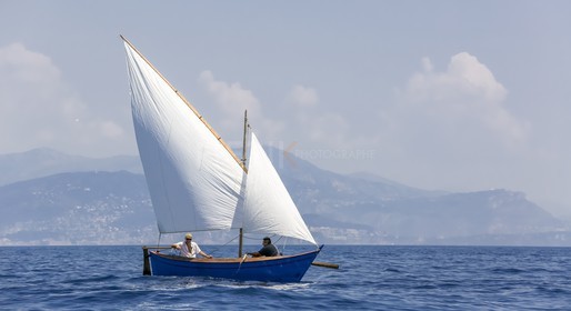 O60A8082.jpg