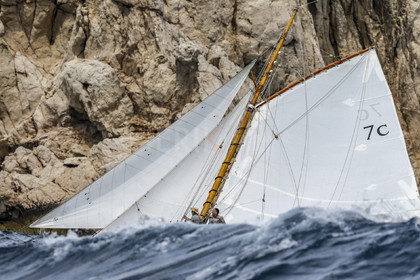 A29X2295.jpg