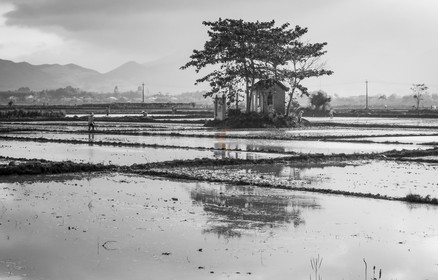 Hoi An-52.jpg