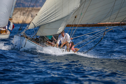 A29X4310.jpg