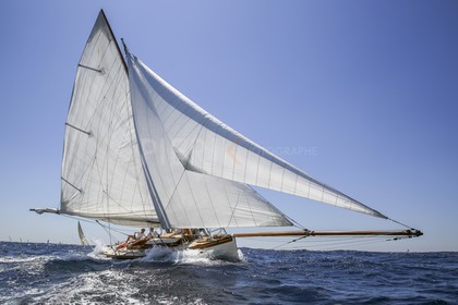 O60A5767.jpg