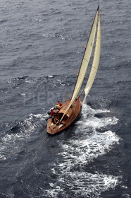 Windhover