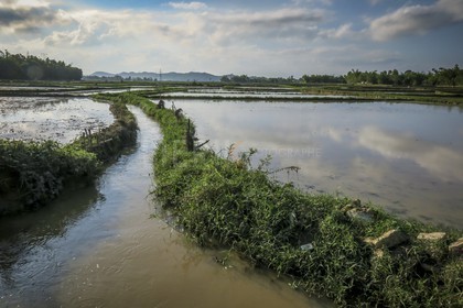 Hoi An-44.jpg