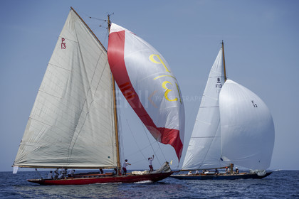 _DSC4650.jpg