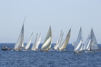 A29X1424.jpg