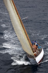 Irina VII