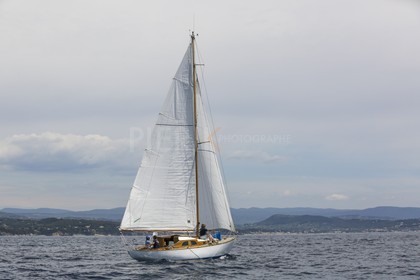 O60A7084.jpg