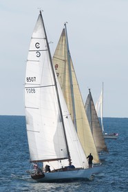 AZ0T8859.jpg