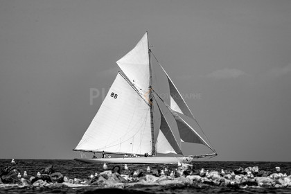A29X1545.jpg