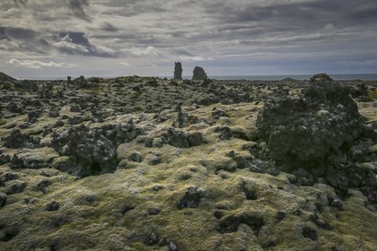 A29X3600.jpg