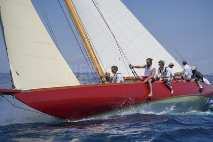 VVP_2023-08342.jpg