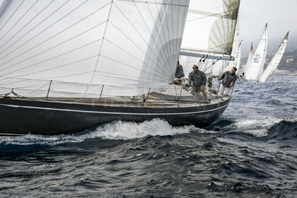 O60A2296.jpg
