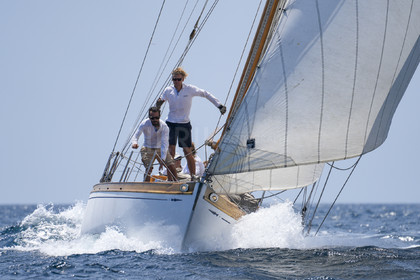 VVP_2023-08743.jpg