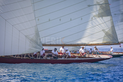 A29X7207.jpg