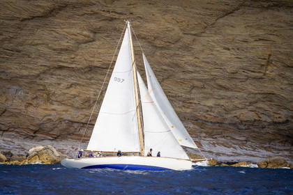 _DSC7386.jpg