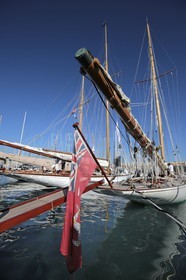 BL6A3604.jpg