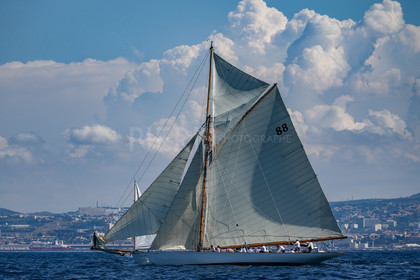 A29X4276.jpg