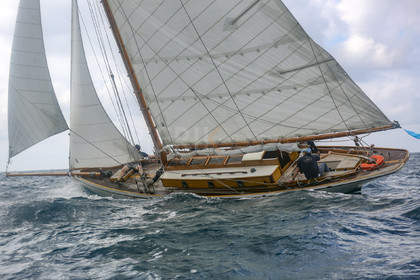 O60A5178.jpg