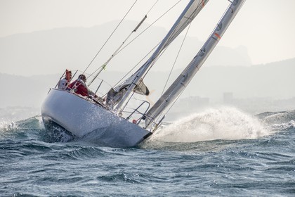 A29X1865.jpg
