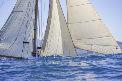 A29X8618.jpg
