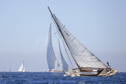 A29X8953.jpg