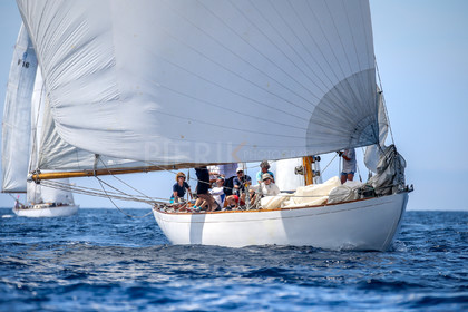 A29X4835.jpg