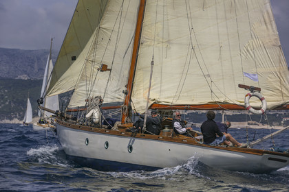 O60A5436.jpg