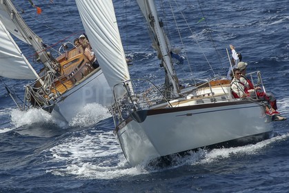 A29X1572.jpg