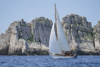 VVP_2023-07683.jpg