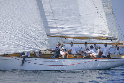 A29X7176.jpg