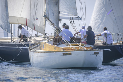 A29X7163.jpg