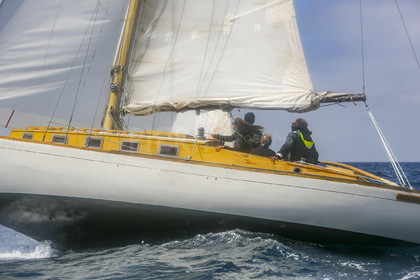 O60A5994.jpg