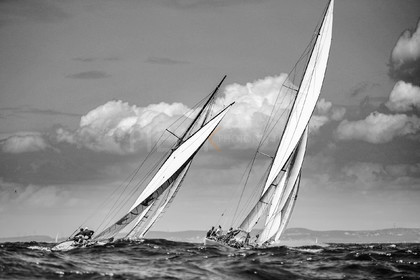 A29X9223.jpg