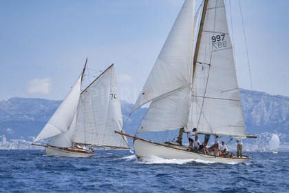 VVP_2023-08801.jpg