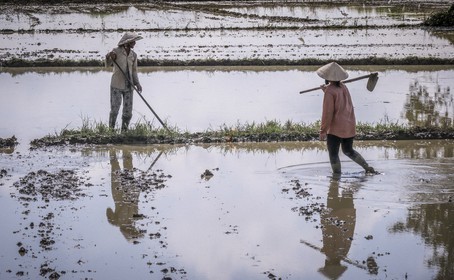 Hoi An-22.jpg