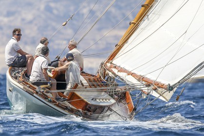 O60A0516.jpg