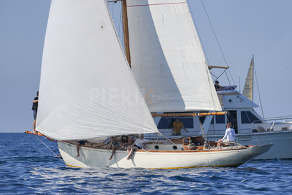 DSC00780.jpg