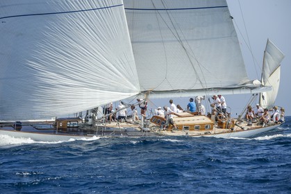 A29X1685.jpg