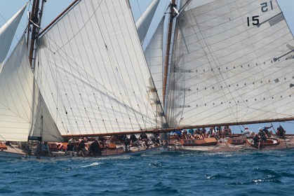 Partridge vs Nan of Fife