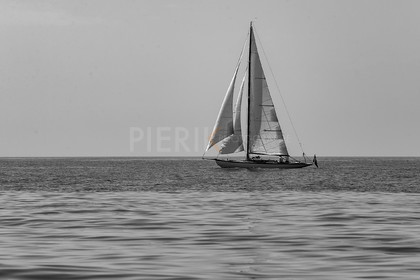 A29X2557.jpg