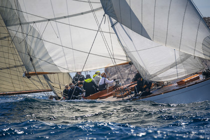 A29X9178.jpg