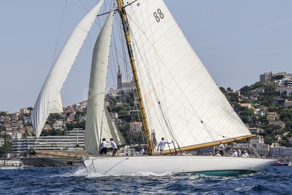 A29X2180.jpg
