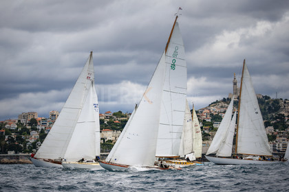 A29X9515.jpg