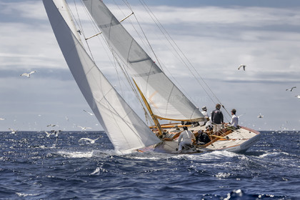 A29X1222.jpg