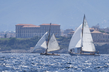 VVP_2023-08236.jpg