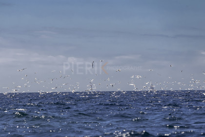 A29X1189.jpg